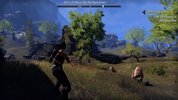 The Elder Scrolls Online: Morrowind Screenshot